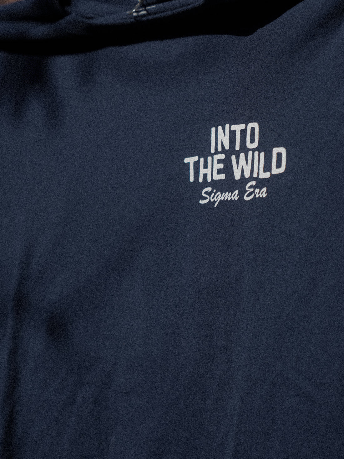 Into The Wild